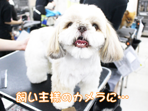 ☆カメラ目線特集☆